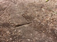 8 Journée de travaile 19 03 2016 07